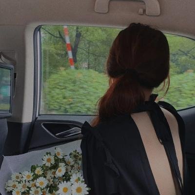 退婚后我成了九皇叔心尖宠